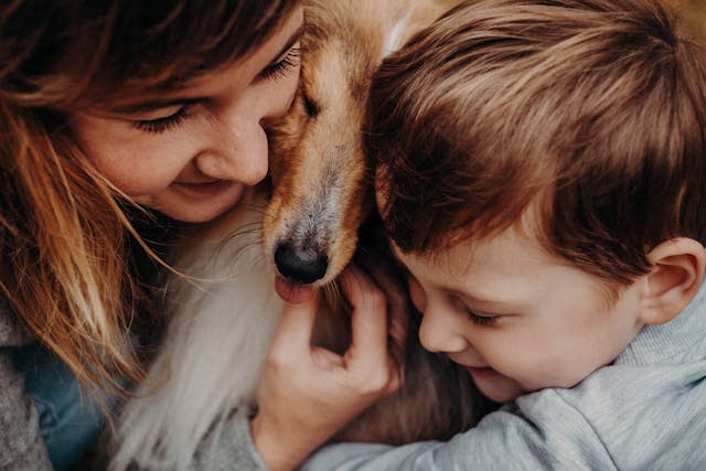 the best dog breeds for families with children, access to fresh water, adapt to family life, Beagle, best dog breeds for families with children, Bichon Frise, Boxer, breed characteristics, breed tendencies, Cavalier King Charles Spaniel, children and the dog, children who have allergies, children’s vulnerability, choosing the right breed, Collie, comfortable space for the dog, Cocker Spaniel, cutest puppy at the shelter, dog behaviour and body language, dog breed for a family with children, Dog-proof your home, dogs living with children, easy to train, energetic breed, energetic dog, enjoy outdoor activities, exercising a dog, family dog, family home with children, family lifestyle, families with children, gentle with children, Golden Retriever, herd small children, herding instinct, highly trainable, home environment, how to approach a dog safely, how to interact with the dog, how to pet and play with the dog, ideal family dog, inactive breed, Important Considerations When Choosing a Family Dog, interact appropriately with dogs, Labrador Retriever, Newfoundland, play with the children, Prepare your children, Preparing Your Home and Family for a Dog, Proper training, recognise signs of discomfort or stress, reputable breeder, rescue organisation, respect the dog’s space, rough-and-tumble play, school-aged children, Teach children to, Teaching Children How to Interact with Dogs, the most child-friendly breeds, Top Medium to Large Breeds for Families, Top Small to Medium Breeds for Families, training and socialisation, where the dog can retreat, getting a dog, thinking of getting a dog, thinking about getting a dog, selecting a dog breed, Choosing a family dog, a dog's life, child-friendly dog